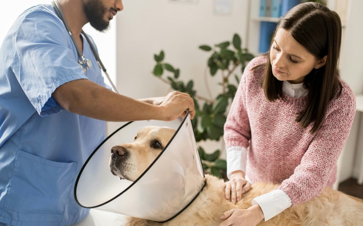Benefits-of-Sick-Visits