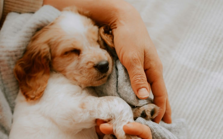 Common-Reasons-for-Sick
