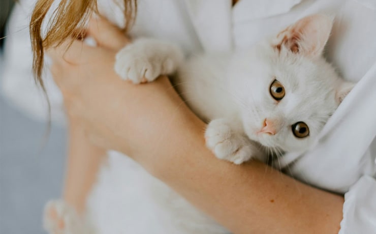 Why-Therapeutic-Care-Matters-section