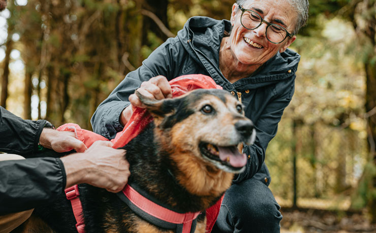 Your-Partner-in-Senior-Pet-Wellness