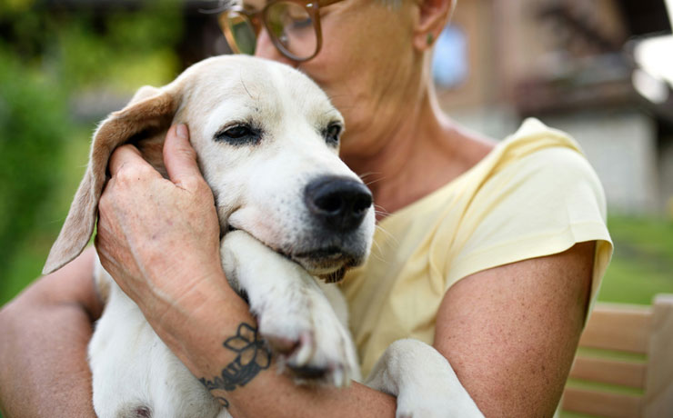 Benefits-of-Senior-Pet-Wellness-section