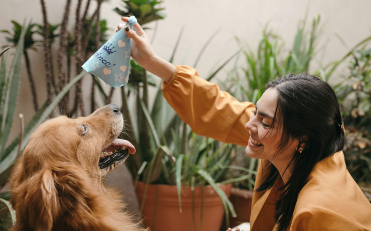 Our-Expertise-in-Pet-Behavior-section
